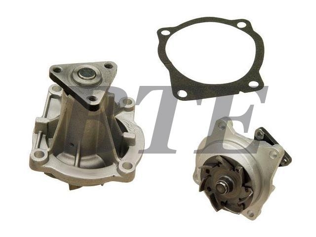 Water Pump:10089654