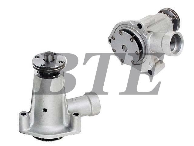 Water Pump:1F00-15-010