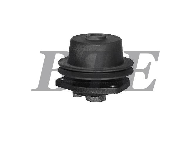 Water Pump:QCP749