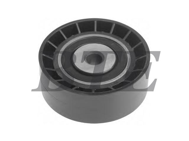 Idler Pulley:82 00 040 161