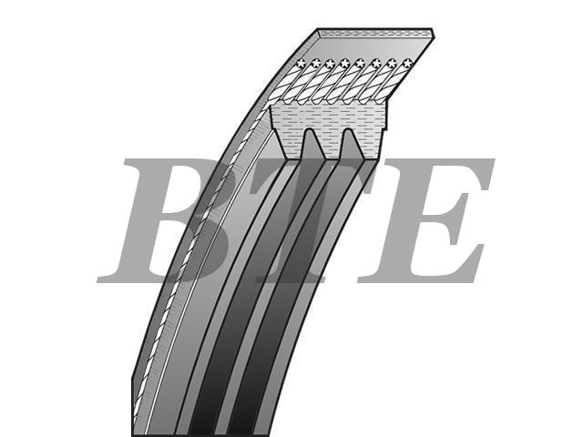 V-Ribbed Belt:1X4E8K543BA