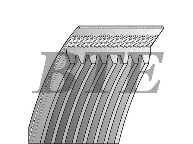 V-Ribbed Belt:CBU1716