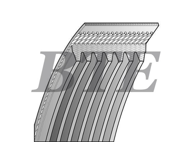 V-Ribbed Belt:8-89003-187-0